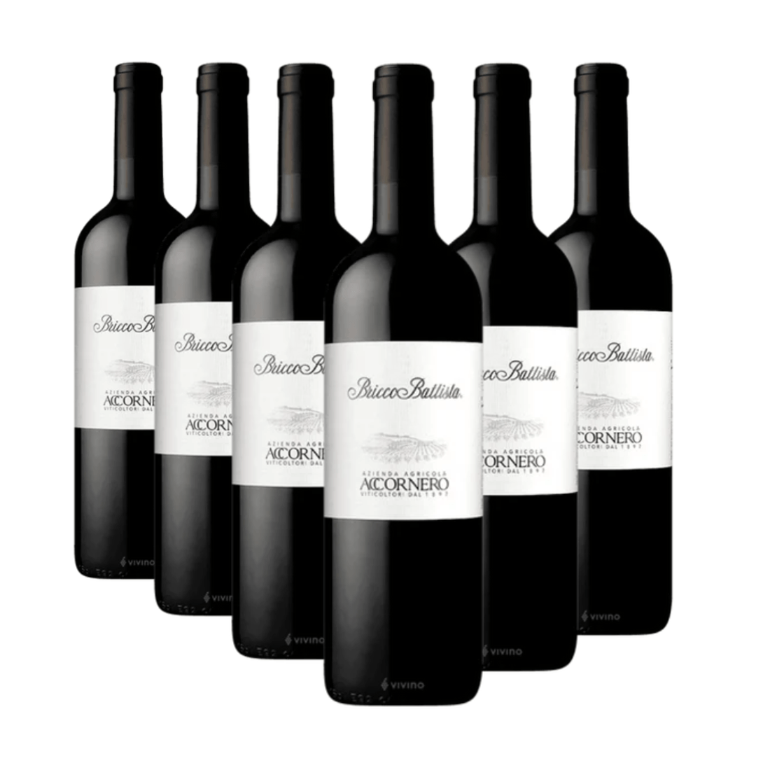 Bricco Battista 2019 Doc Barbera del Monferrato Superiore 6 bottiglie - Accornero - Vinolog24.com