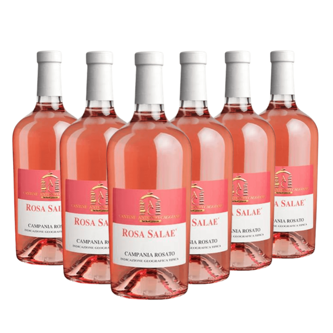 Caggiano Rosa Salae 2021 Igt Campania Rosato 6 bottiglie - Caggiano