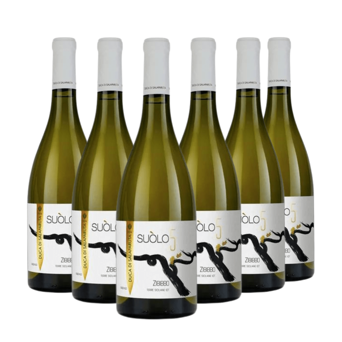 Suòlo 5 2020 Igt Terre Siciliane Bianco 6 bottiglie - Duca di Salaparuta - Vinolog24.com